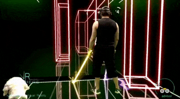 Light Sabers Dog GIF by VR Here