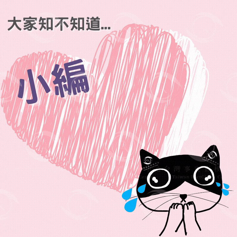 Meow GIF by Taiwan FactCheck Center