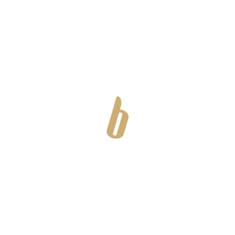 ballguide Sticker