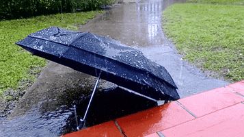 umbrella raining GIF