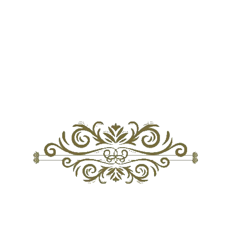 Liron Sticker by figtny