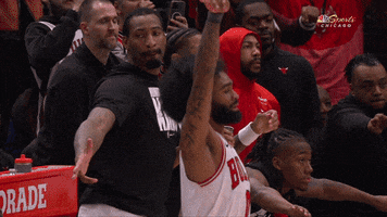 Lets Go Yes GIF by Chicago Bulls