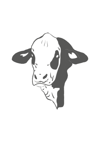 Braford Sticker by ABA