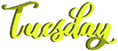 Day Week Sticker
