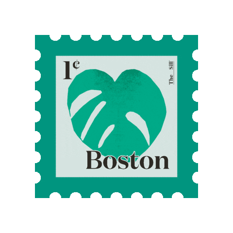 Plants Boston Sticker by The Sill