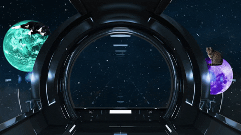 Zoom gif 2025 background