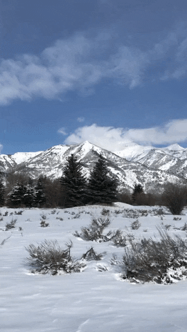 Powderchasers GIF