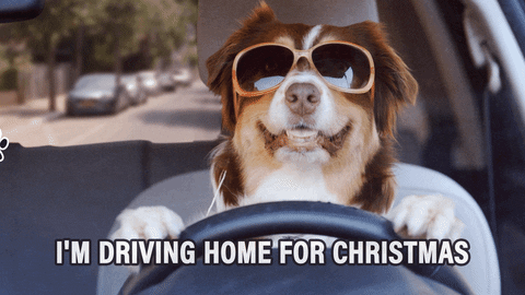 Merry Christmas Dog Car GIF by Warner Music Germany
