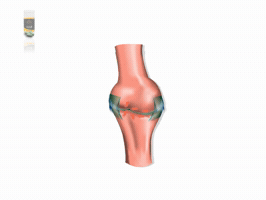 Belut Plus In Action GIF