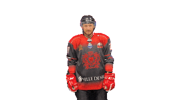 Les Aigles de Nice Sticker