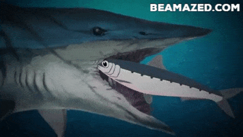 Helicoprion GIF