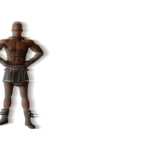 Melvin Manhoef Mma Sticker by Gym Hoofddorp