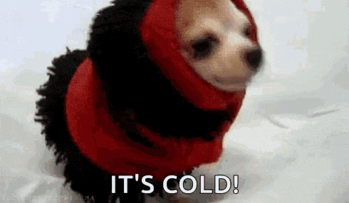 it's cold gif