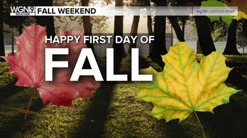 First Day Of Fall GIF by WGN Morning News