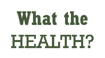 Healthkitchen Myhealthkitchen Healthy Gesund Gesundessen Healthyfood Vienna Wien Sticker by HEALTH KITCHEN