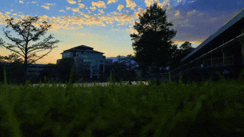 Monroe La Sunset GIF by University of Louisiana Monroe