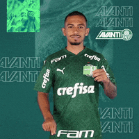 Puma Alan GIF by SE Palmeiras
