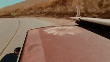Driving Road Trip GIF by PIXIES