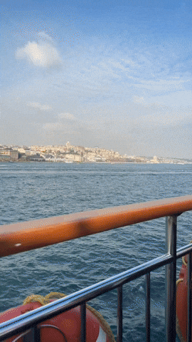 Istanbul GIF