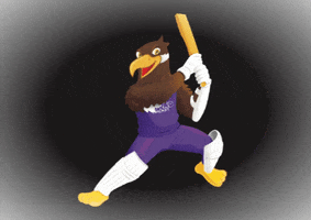 NYUAD Athletics GIF
