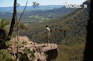 Thebachelor GIF by The Bachelor Australia