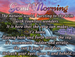Good Morning GIF