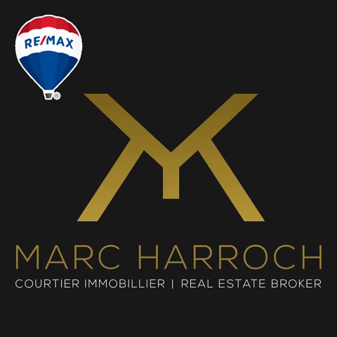 Marc Harroch GIF