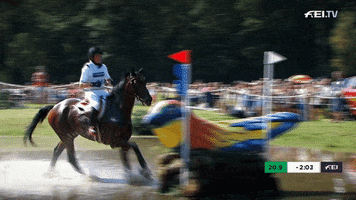 Celebrate Cross Country GIF by FEI Global