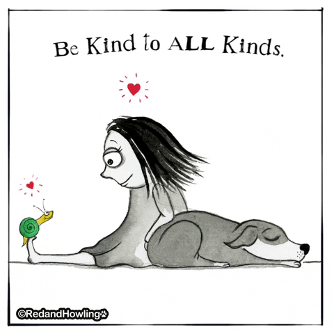 Be Kind Love GIF by Red & Howling