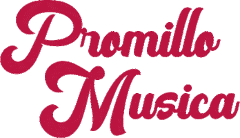 promillomusica Sticker