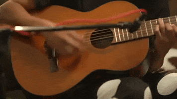 Acoustic Guitar GIF by Junior Mesa
