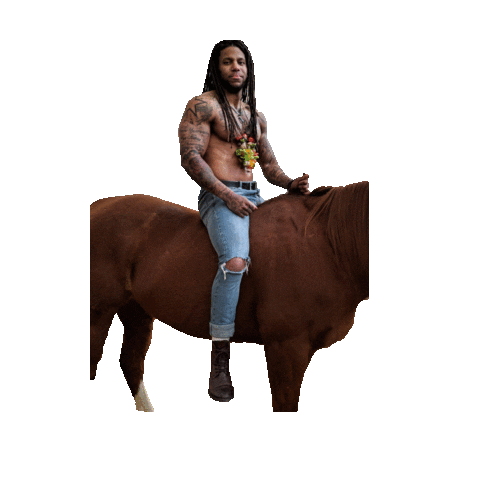 jason christo Sticker