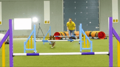 Stu McLaren GIF - Find & Share on GIPHY