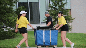 College Moving GIF by Western Illinois University
