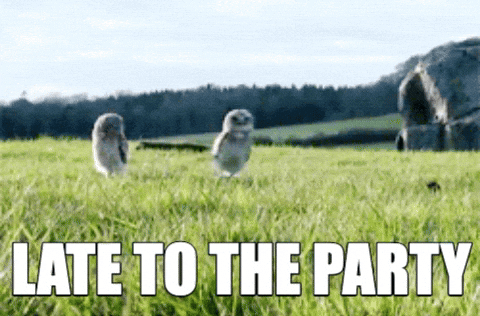 Late-to-the-party GIFs - Get the best GIF on GIPHY