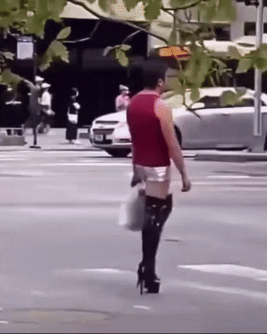 giphy.gif?cid=2154d3d7fc0879442c8f2961cdfbafcb822ea8a130c514f6&ep=v1_gifs_username_username&rid=giphy.gif&ct=g