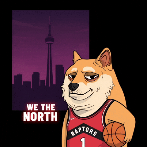 Shiba Inu Basketball GIF by Doge Pound