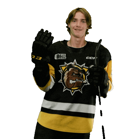 Brantford Bulldogs Sticker