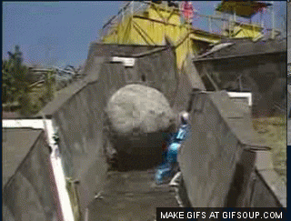 giphy.gif