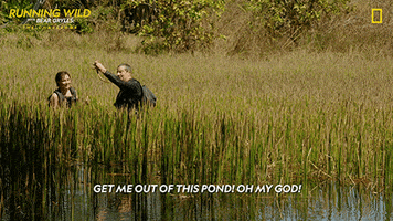 Oh My God Omg GIF by National Geographic Channel