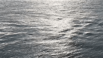Nature GIF