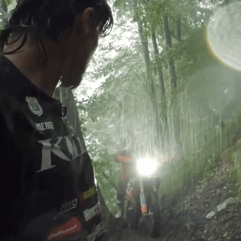 Storm Forest GIF by Red Bull