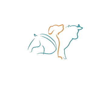 Steady Gait Planning Inc Sticker