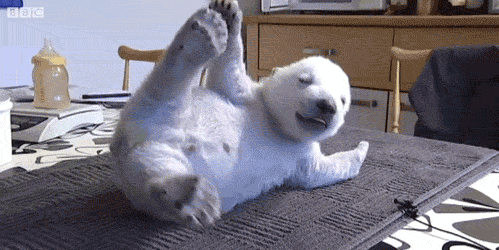 https://media3.giphy.com/media/gnJqF93m0sNri/giphy.gif