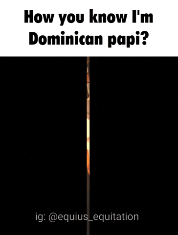 Sunglasses Dominican GIF