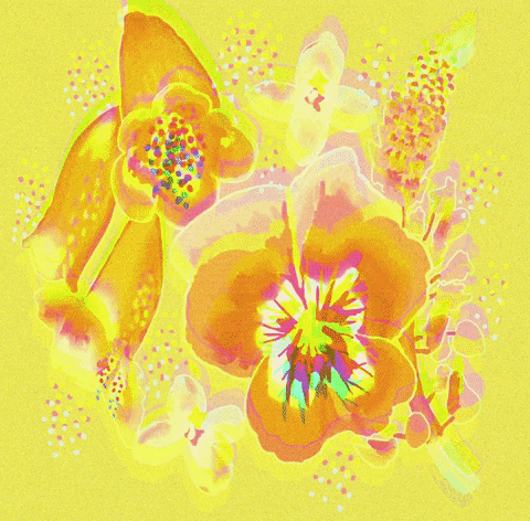 Summer Flowers GIF by Daisy Lemon