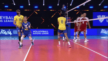 Celebration Yes GIF by Volleyball World