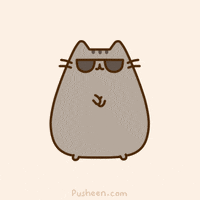 deal with it cat gif