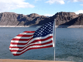 United States Flag GIF by DIIMSA Stock