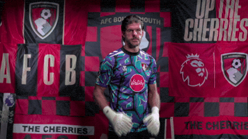 GIF by AFC Bournemouth